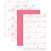 Bird 4-pack