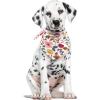 image:imageLuvable Friends Dog Reversible Pet Dog and Cat Bandana Bibs 2pk Banana Space One SizeBotanical Burgundy Floral