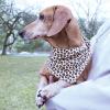 image:imageLuvable Friends Dog Reversible Pet Dog and Cat Bandana Bibs 2pk Banana Space One SizeLeopard Hearts