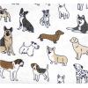image:imageLuvable Friends Little Treasure Flannel Receiving Blankets 7pkPlayful Handsome Pups