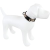 image:imageLuvable Friends Unisex Pet Collar Constellation SmallLeopard